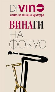 divino-site-portfolio