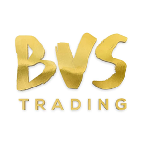 bvs-traiding-logo